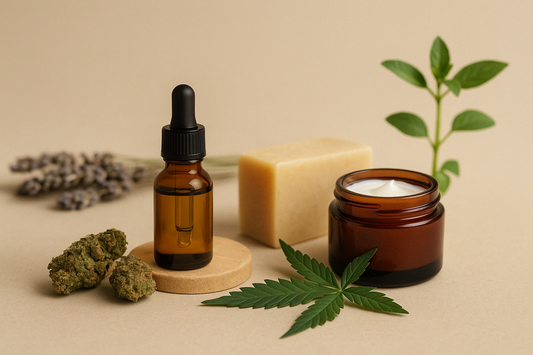 Les bienfaits du CBD : Stress, Sommeil, Douleurs et Équilibre Naturel