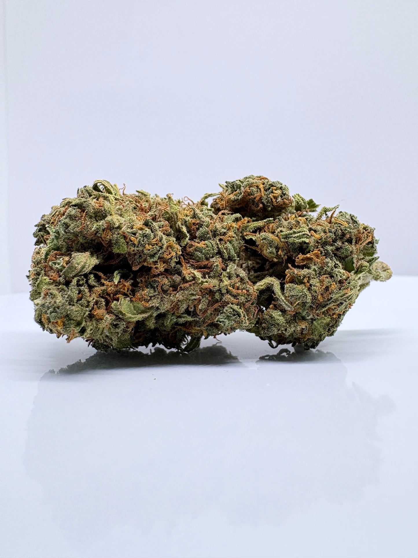 Manolo - CBDStore Greenhouse