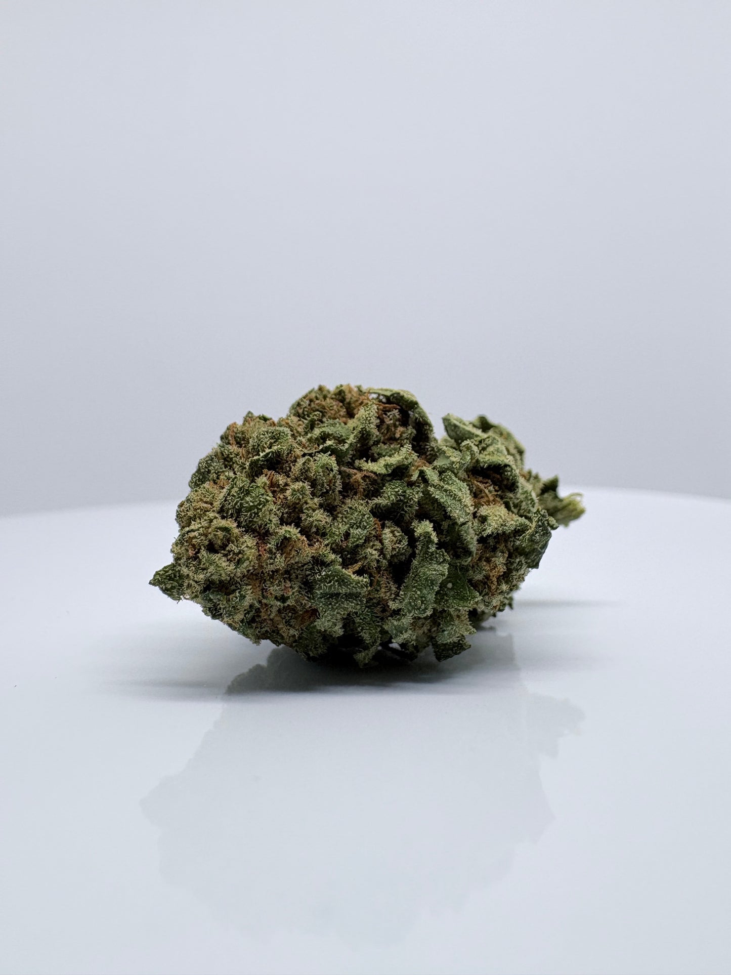 Deadpool - CBDStore Greenhouse