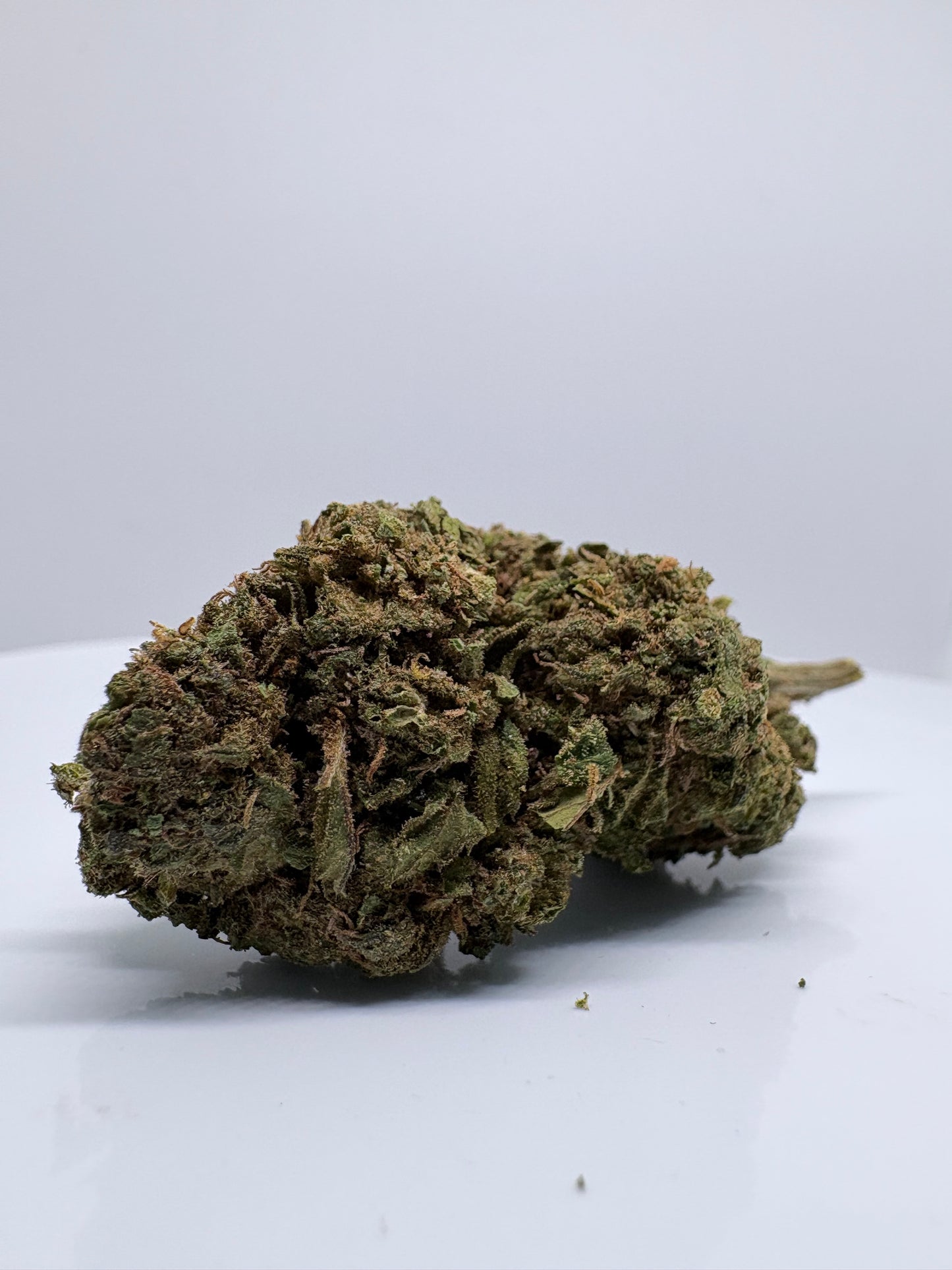 Excalibur - CBDStore Greenhouse