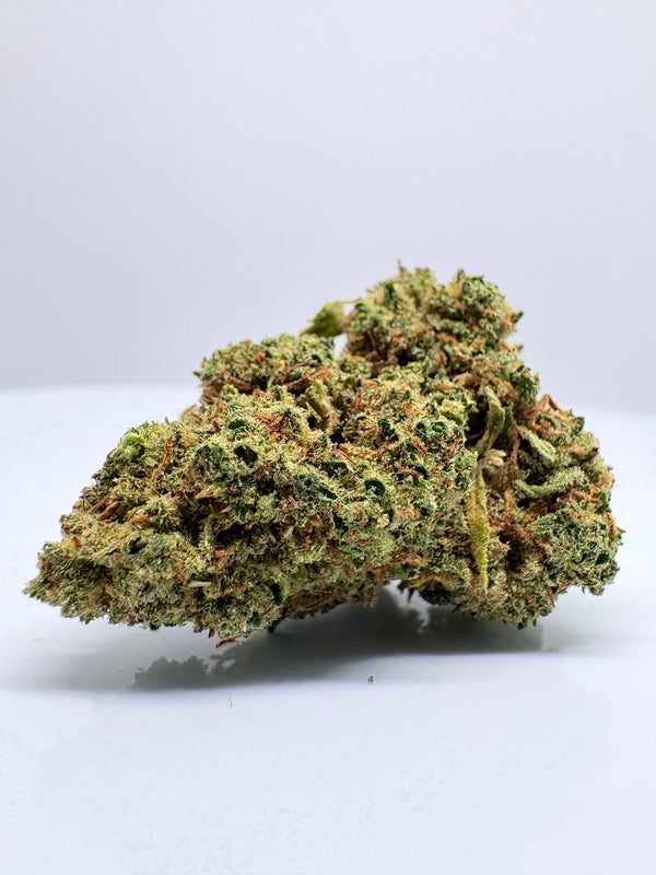 Orange Punch - CBDStore Greenhouse
