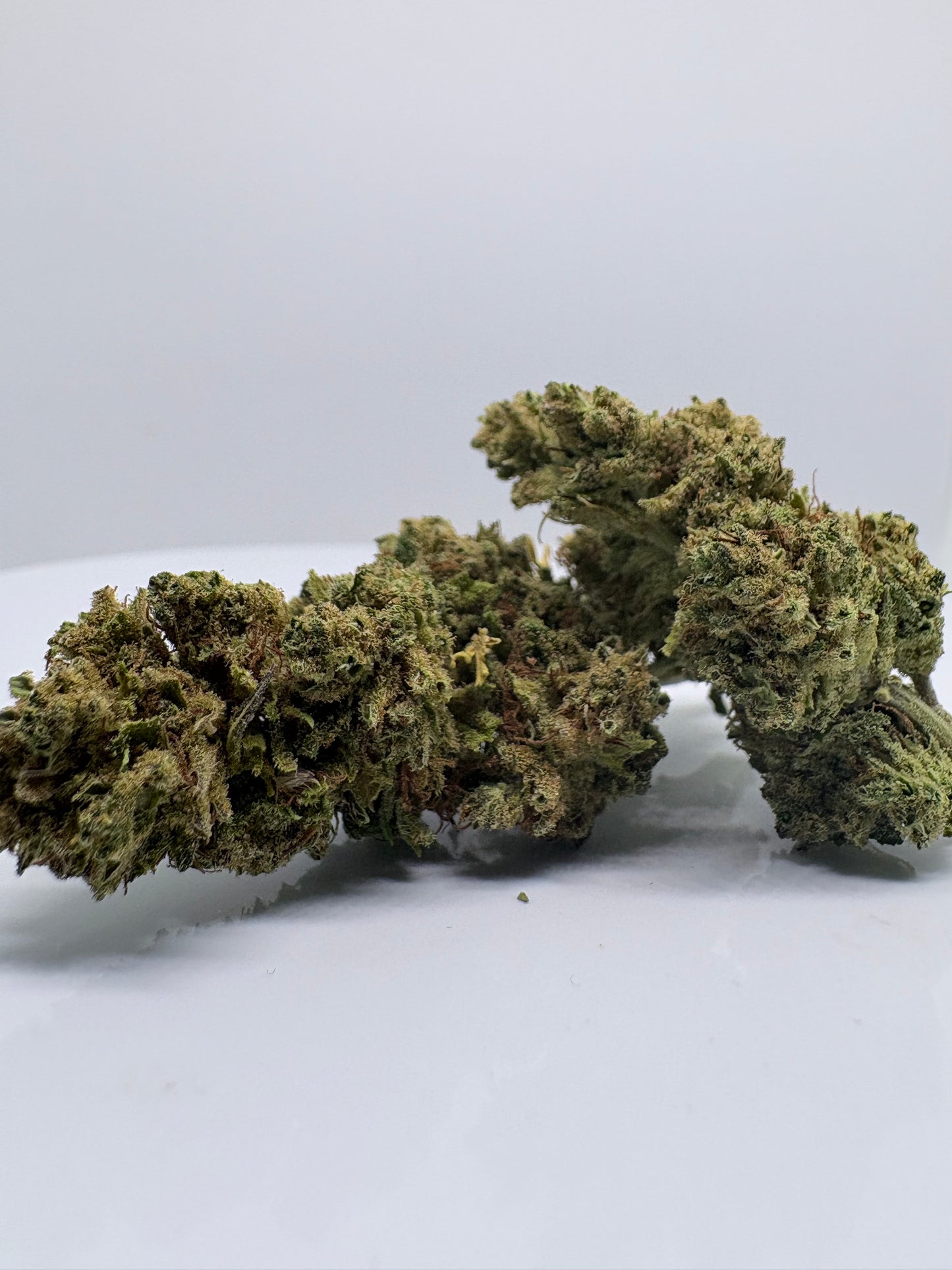 Plutonium - CBDStore Greenhouse