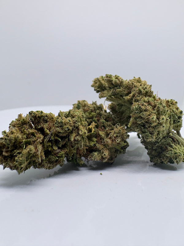 Plutonium - CBDStore Greenhouse