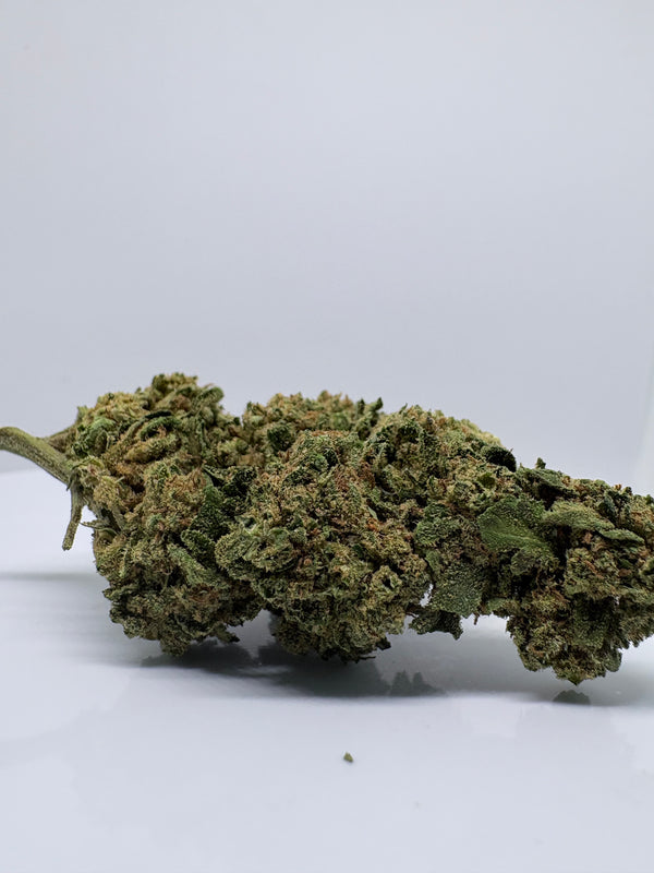 Gorilla Kush - CBDStore Greenhouse