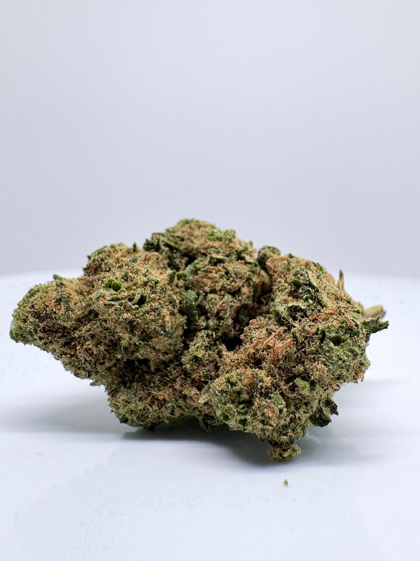 Silver Haze - CBDStore Greenhouse