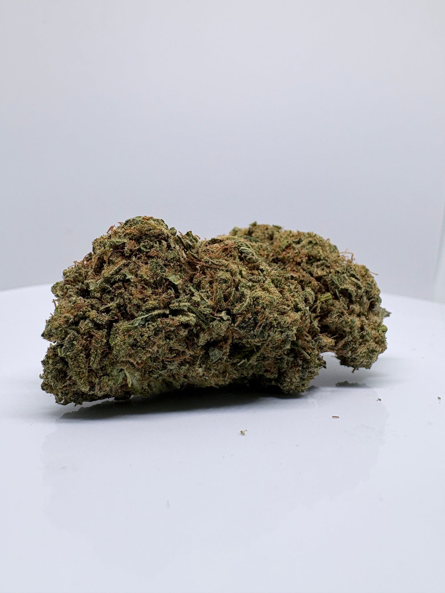 Sour Lifter - CBDStore Greenhouse