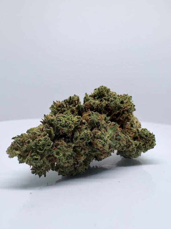 Carlito - CDStore Greenhouse