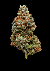 Cali Cheese