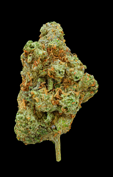 Purple Ninja