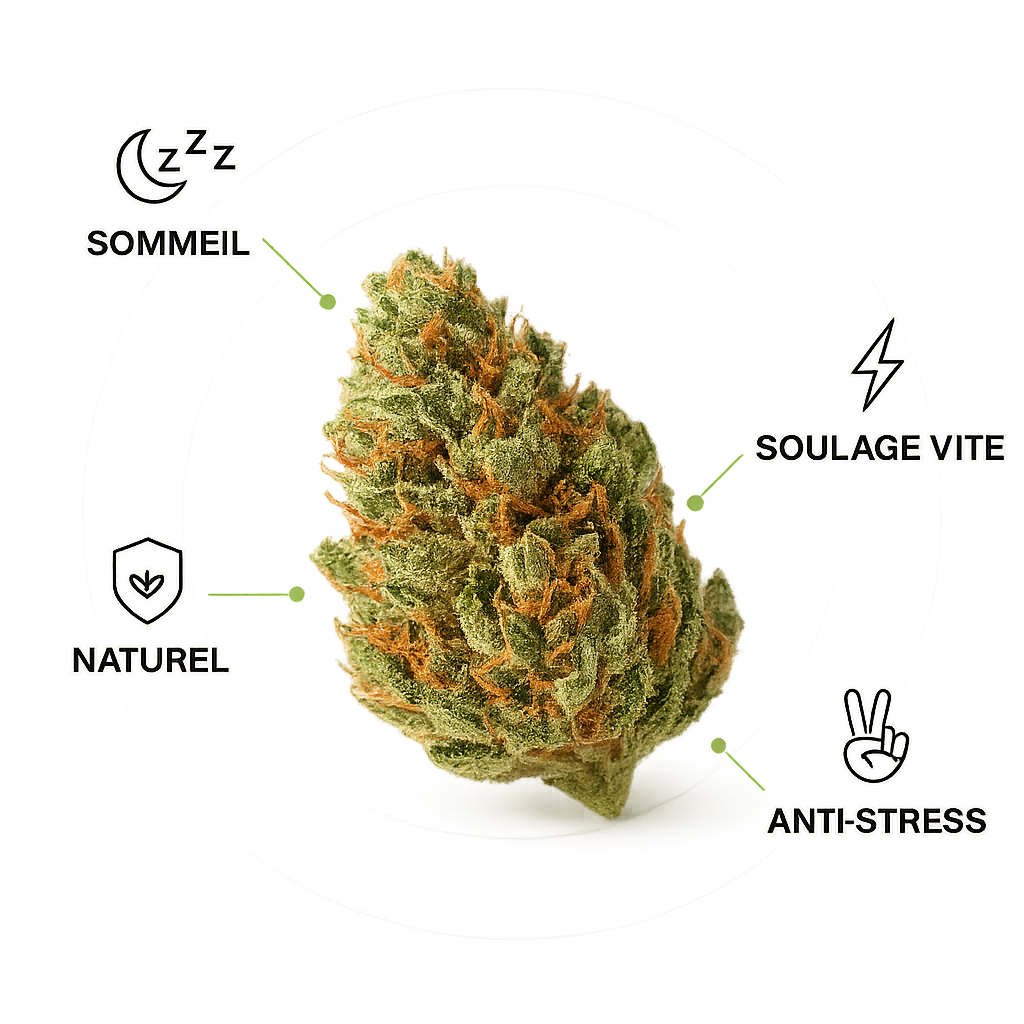 Fleur de CBD — visuel