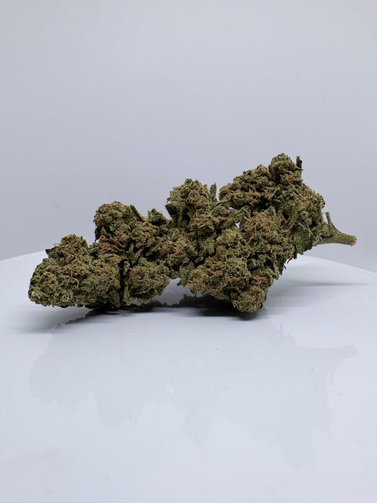 Jack Herer - CBDStore Greenhouse