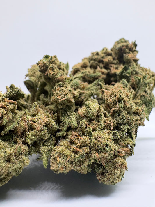 Jack Herer - CBDStore Greenhouse