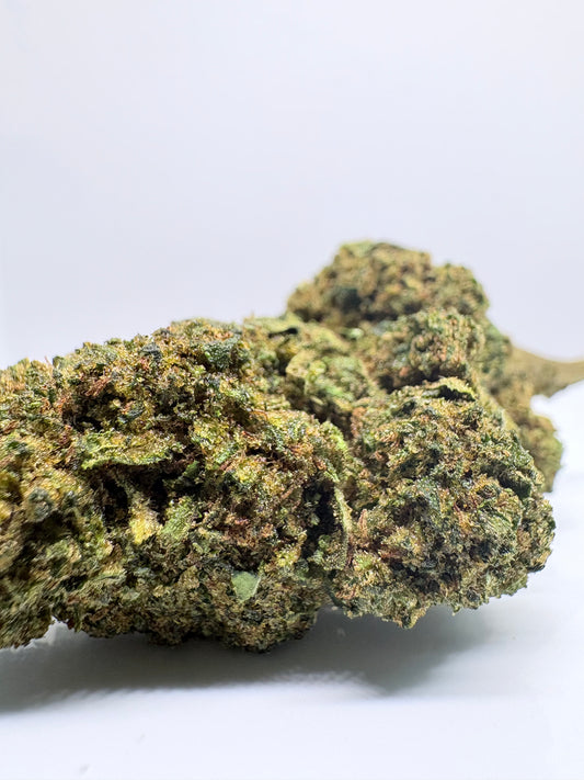 El Pablo - CBDstore Greenhouse