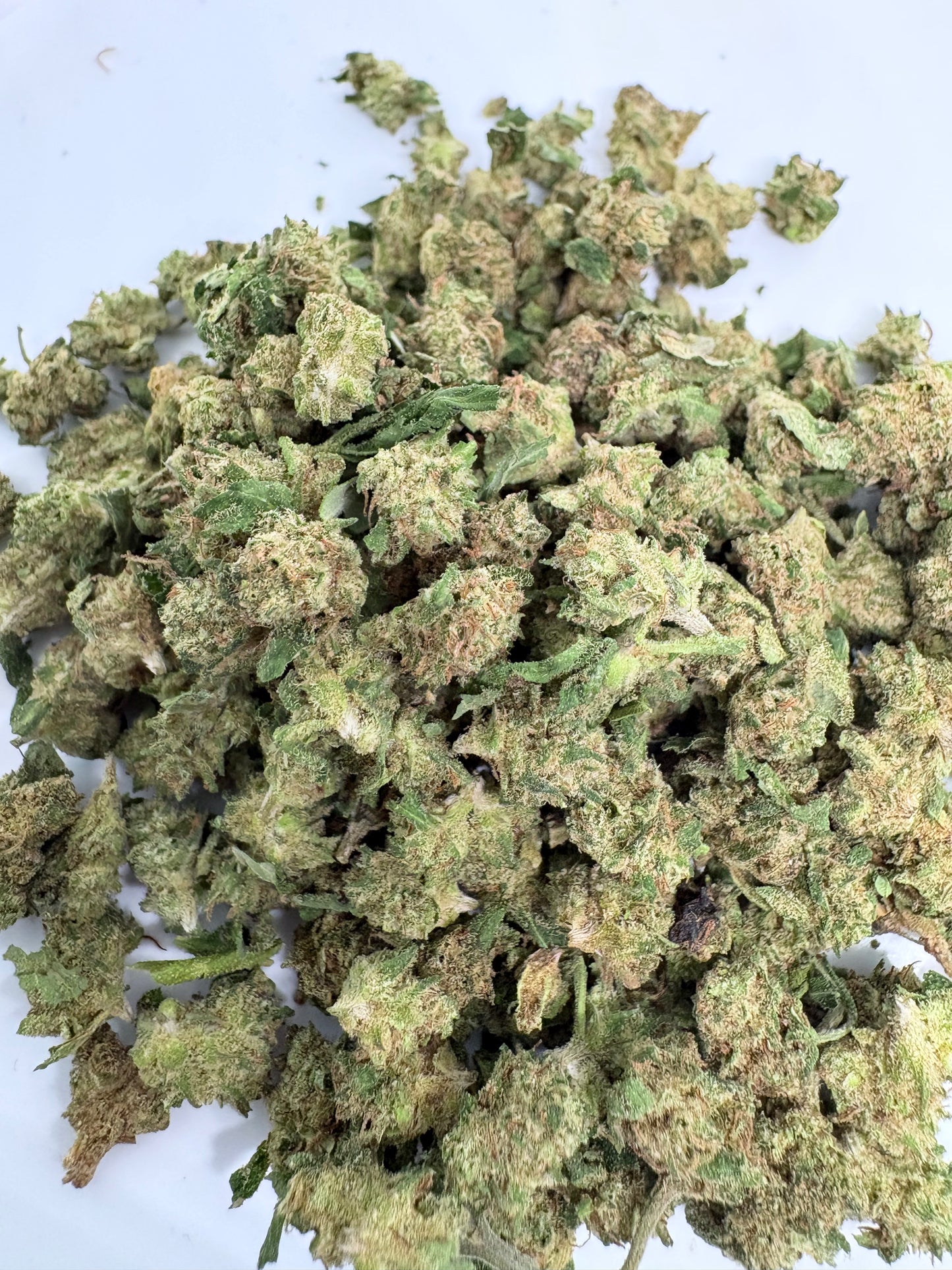 Mini Jack - CBDStore Greenhouse