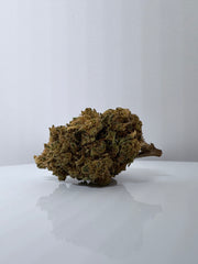 Tropicana