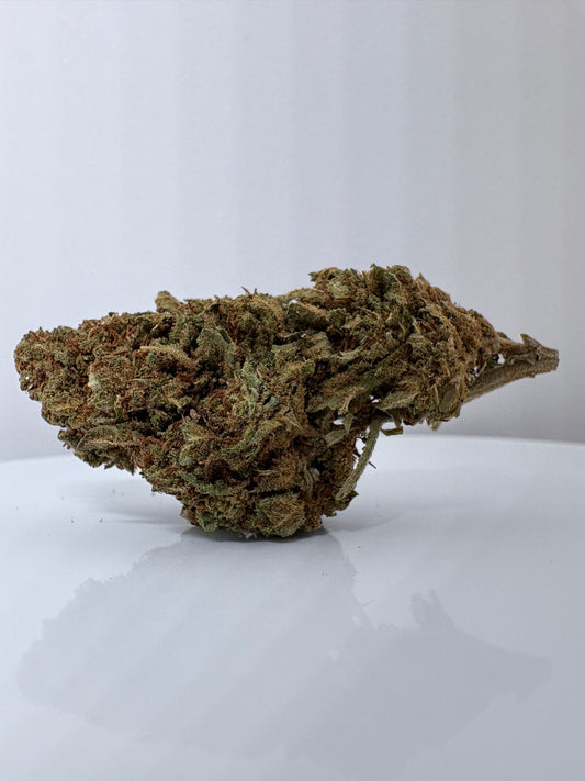 Gelato