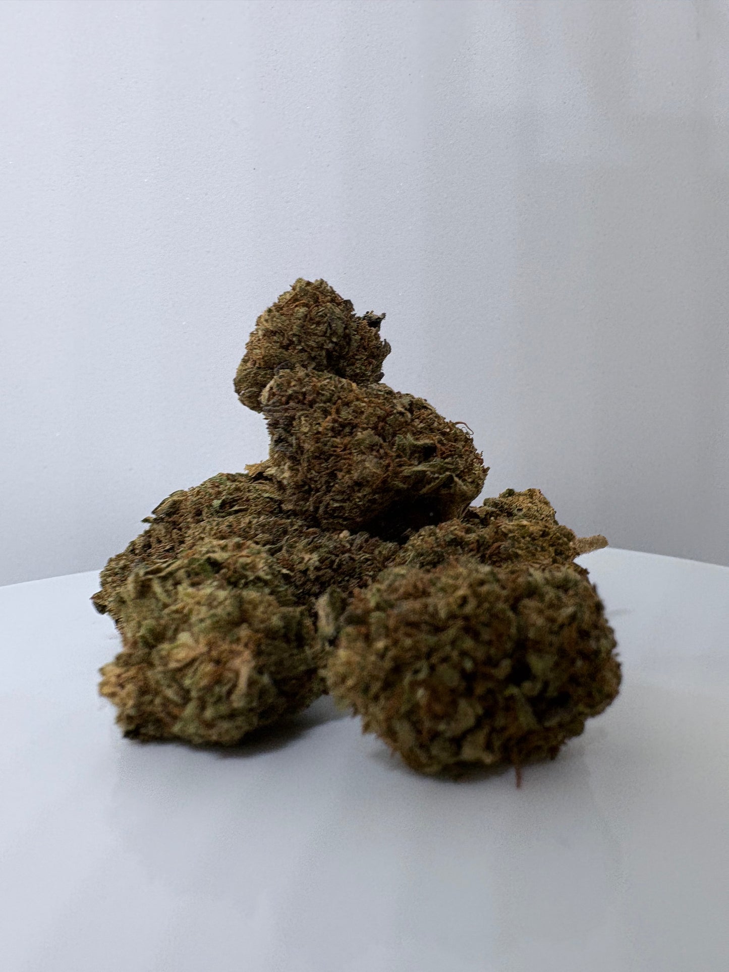 Gelato