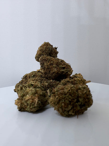 Gelato