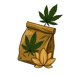 Greenhouse